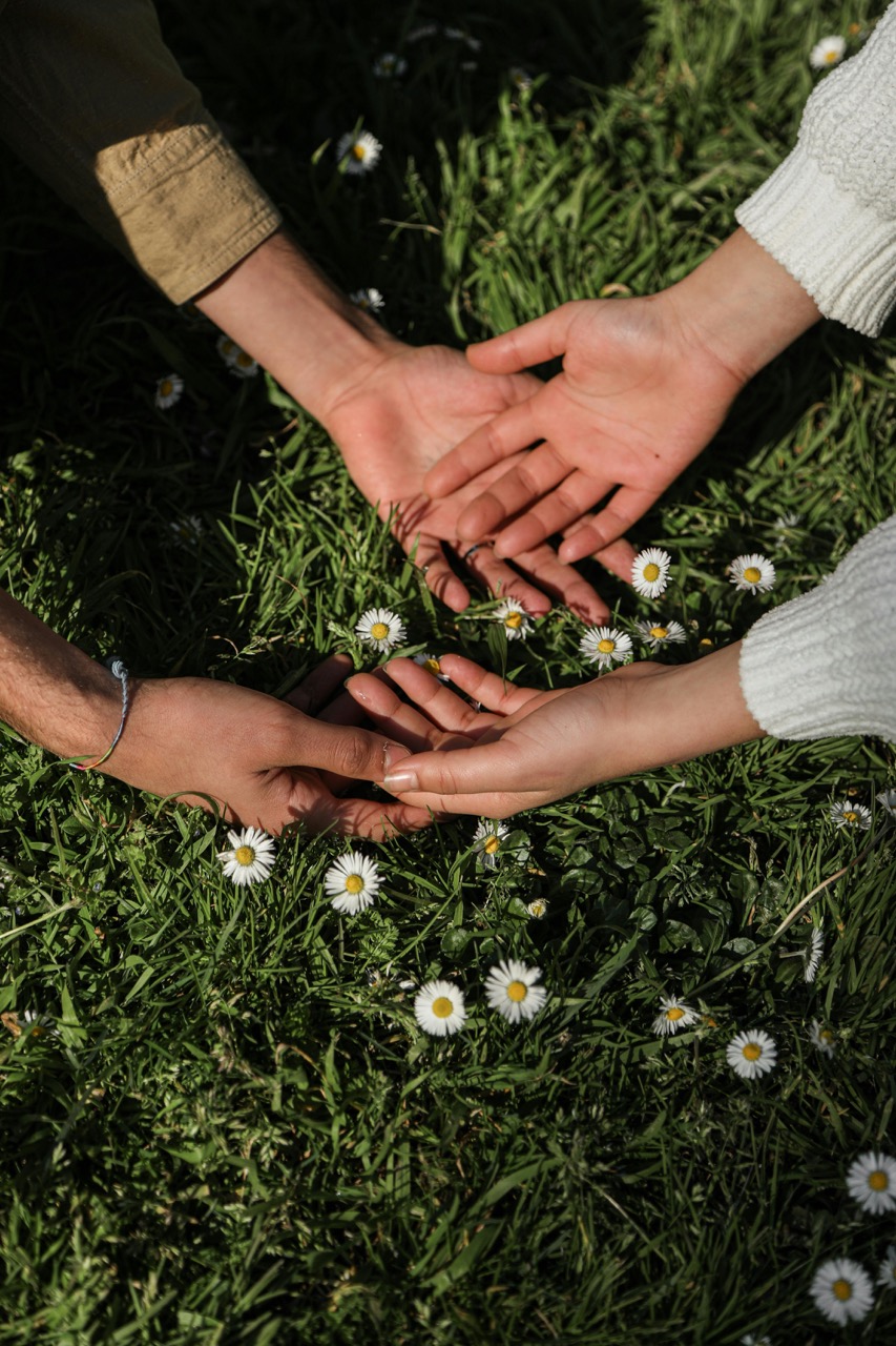 Flowers That Represent Loyalty and Trust Among Friends
